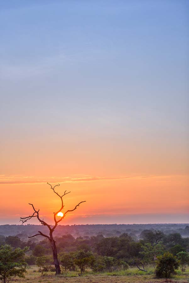 Mike Palmer Sabi Sunrise Mike Palmer Sabi Sunrise