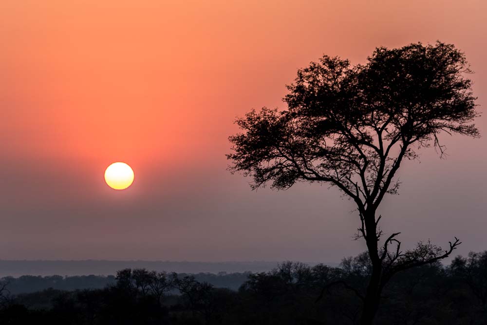 20Pravir Patel Sunrise 20Pravir Patel Sunrise