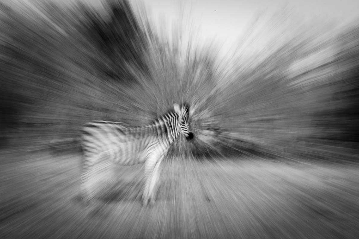 MM04 MM04