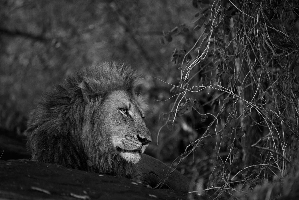 03Mike Palmer Charleston Male 020116 03Mike Palmer Charleston Male 020116