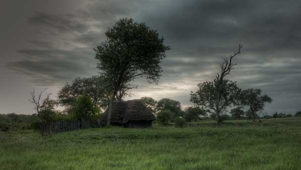 traditional hut