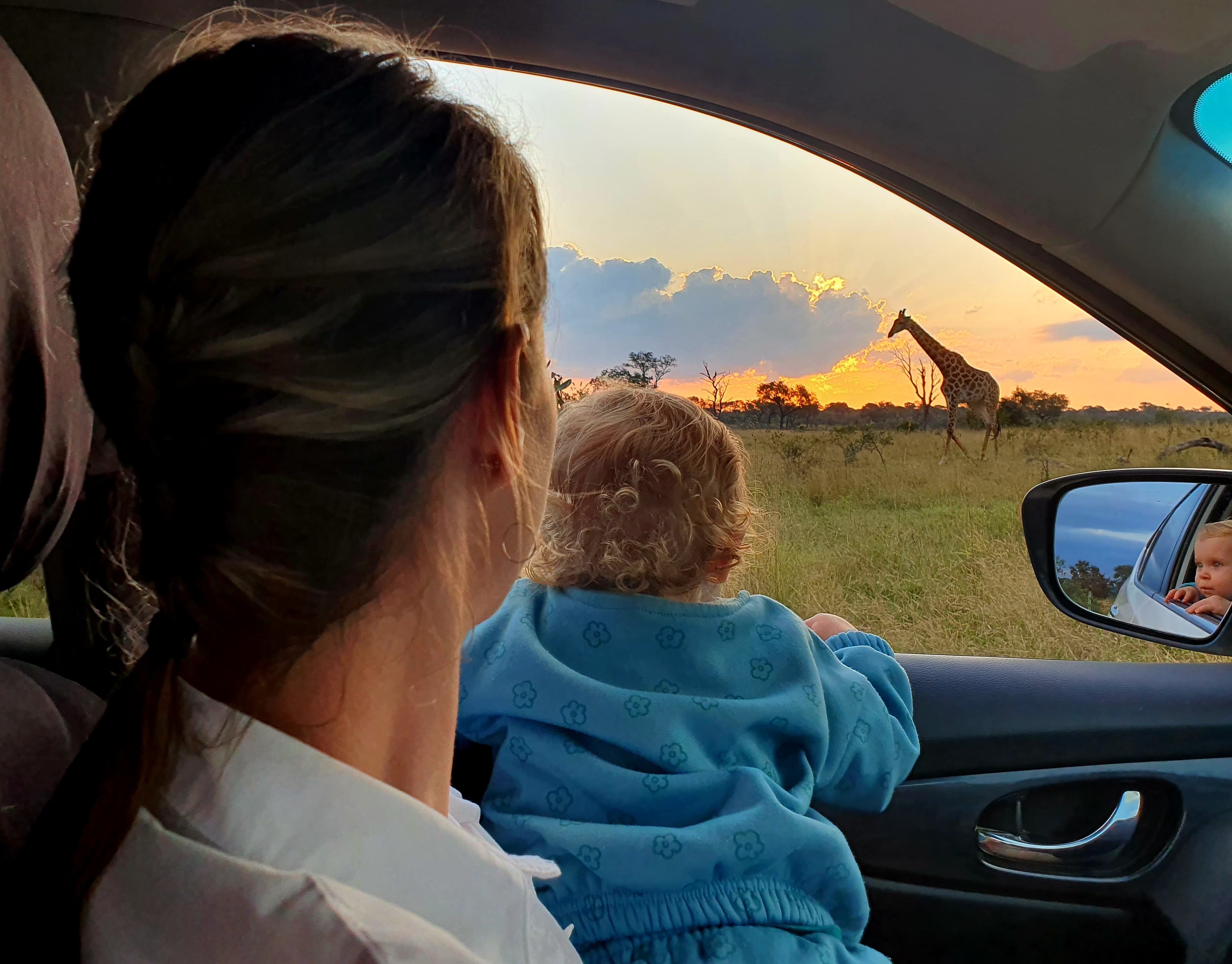 Sabi Sabi Conrad Cooke Family Giraffe Sabi Sabi Conrad Cooke Family Giraffe