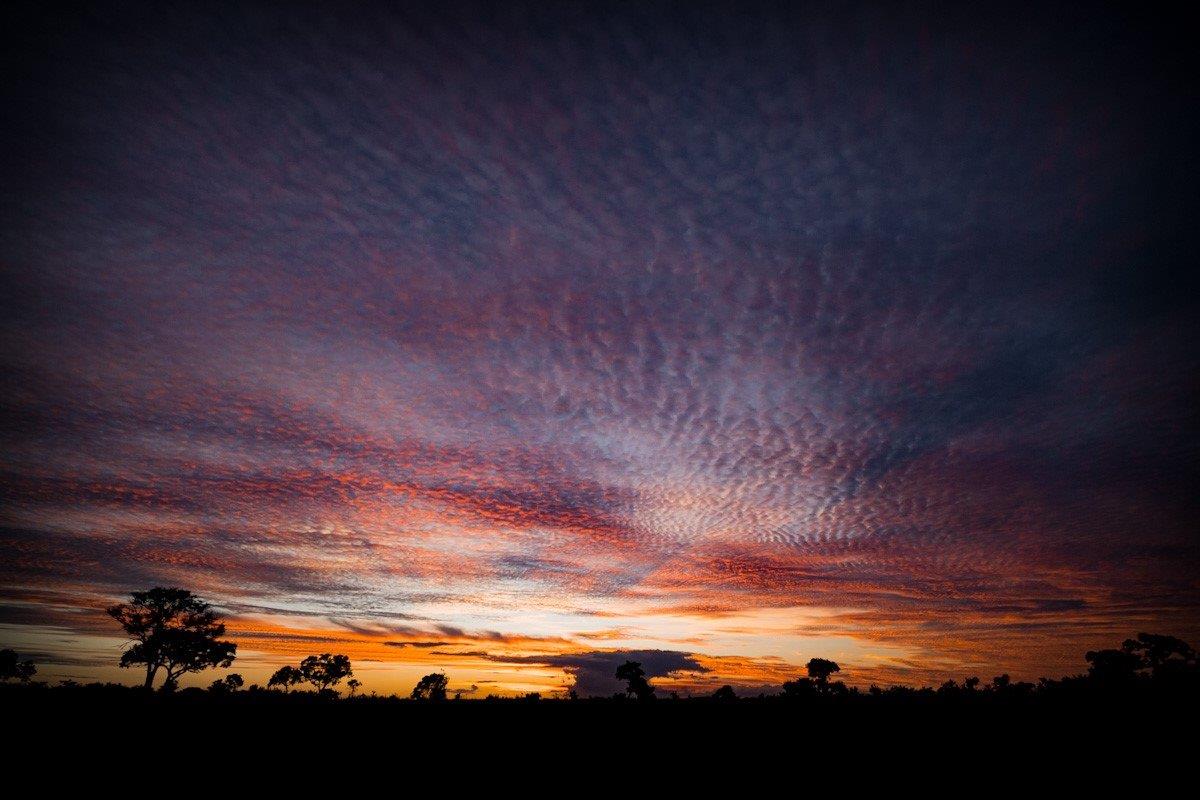 Sabi Sabi Devon Jansen Sunset Sabi Sabi Devon Jansen Sunset