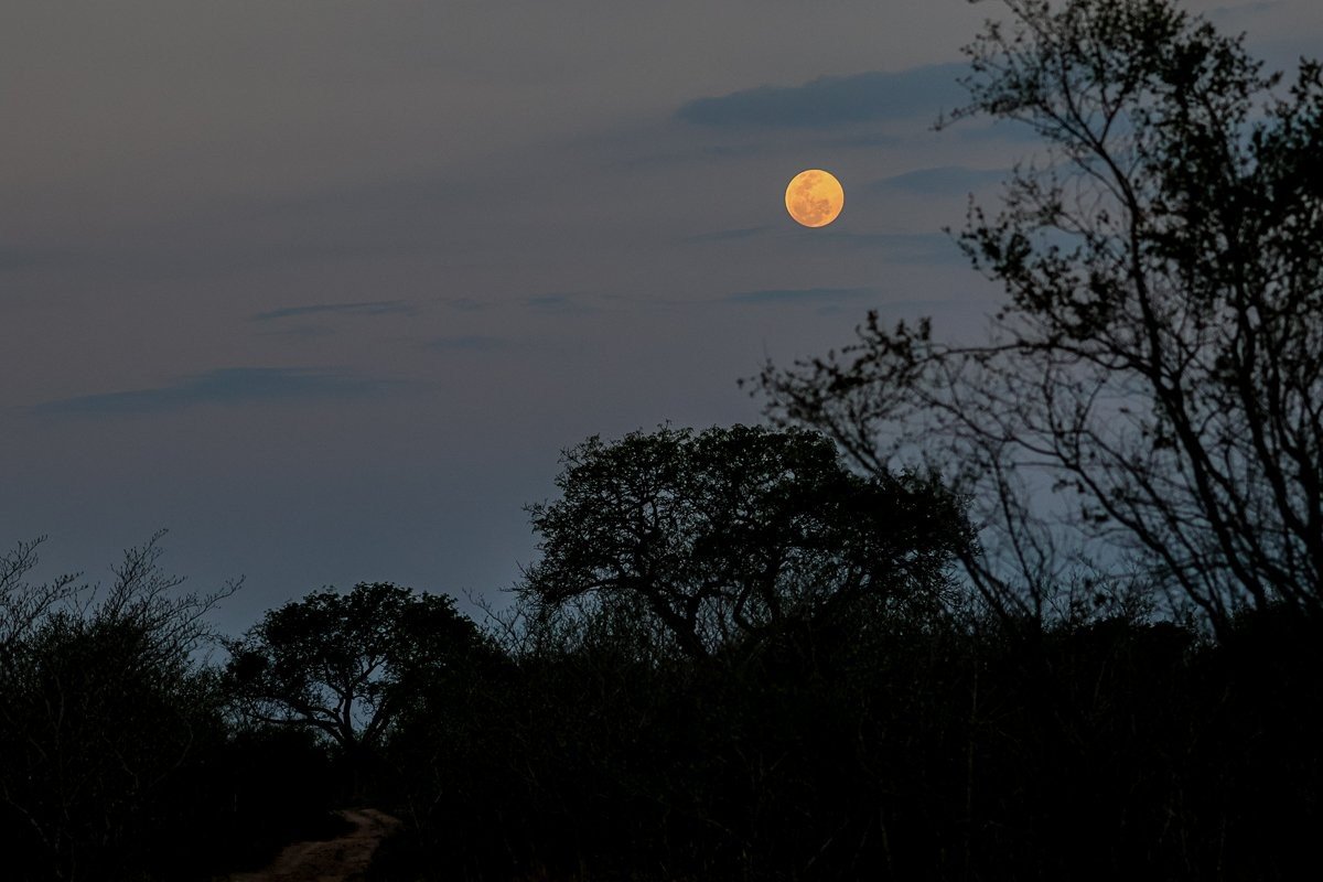 Sabi Sabi Ruan Mey Moon Sunset Sabi Sabi Ruan Mey Moon Sunset