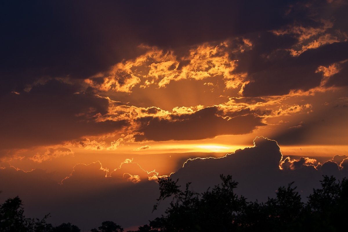 Warm sunset over the African bushveld landscape.