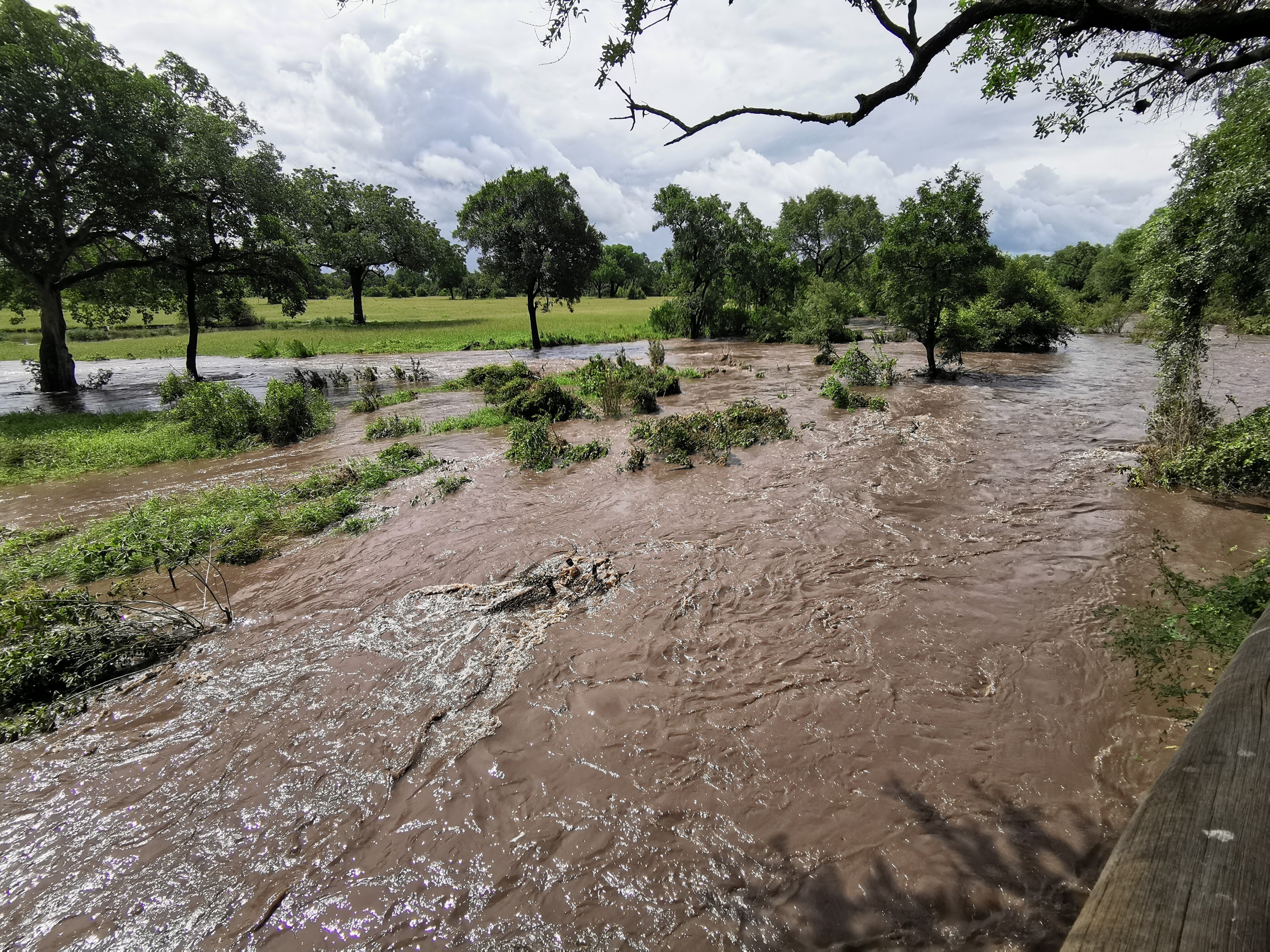 B02Daniel Greyvenstein   Floods   080223   1
