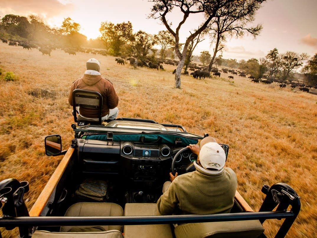 A guide and tracker head out on a game drive in the Sabi Sands.