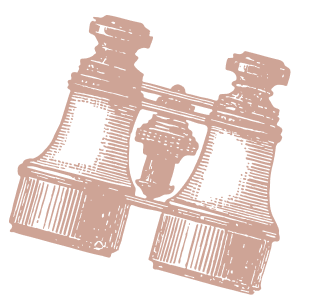 Bgt Binoculars
