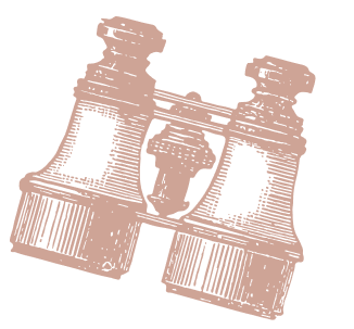 Bgt Binoculars Bgt Binoculars