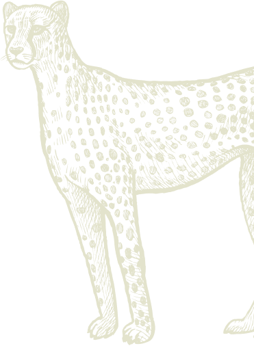 Bgt Cheeta Bgt Cheeta