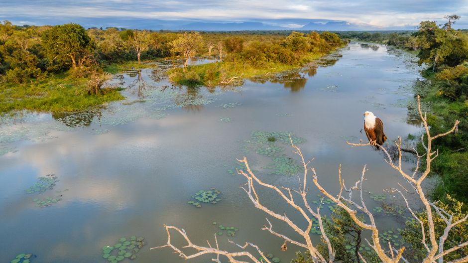 Sabi Sabi Beyond The Moment Sandringham