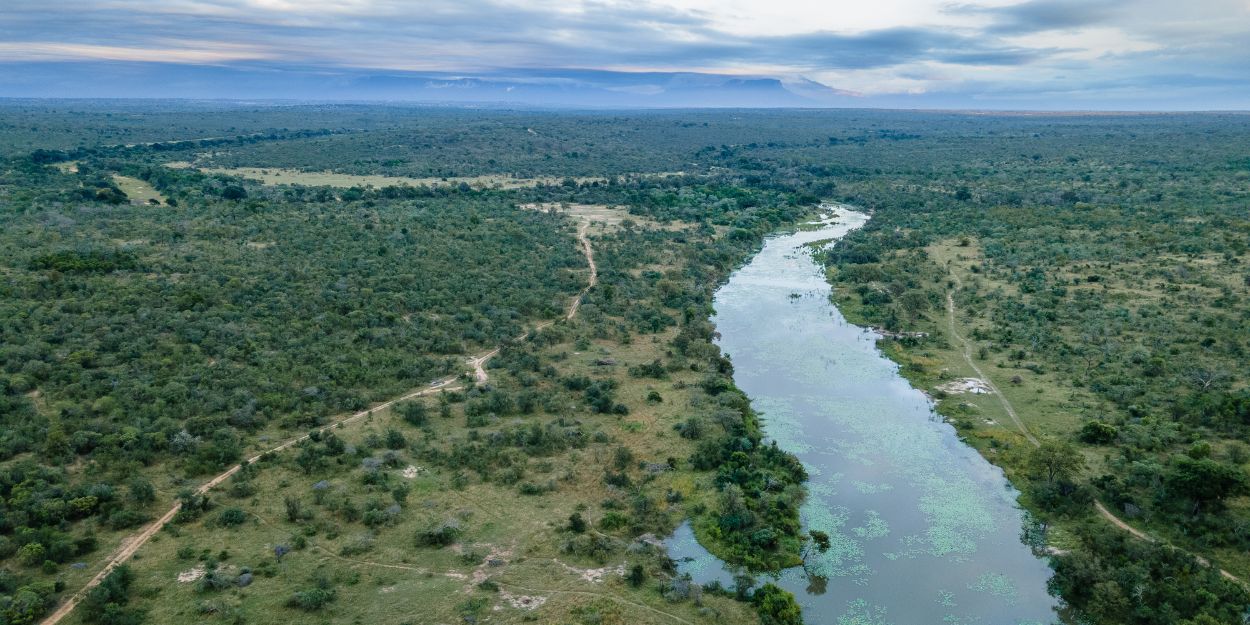 Sabi Sabi Stewardship In Action Sandrignham River