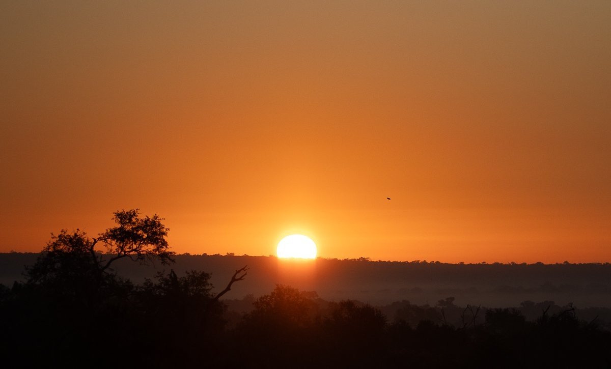 Sabi Sabi Ronald Mutero Sunrise Sabi Sabi Ronald Mutero Sunrise