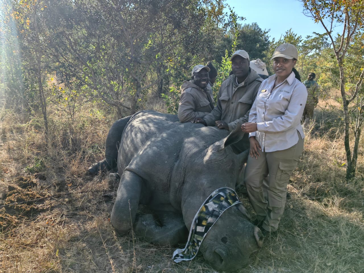 Sabi Sabi May Newsletter 7