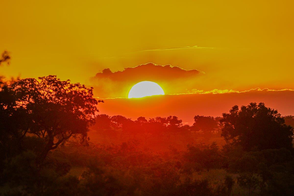 Sabi Sabi Ruan Mey Sunset