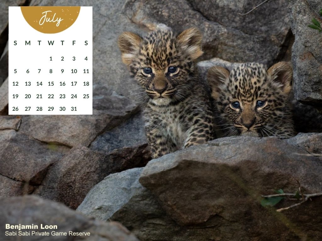 Sabi Sabi   Desktop Calendar   July 2026