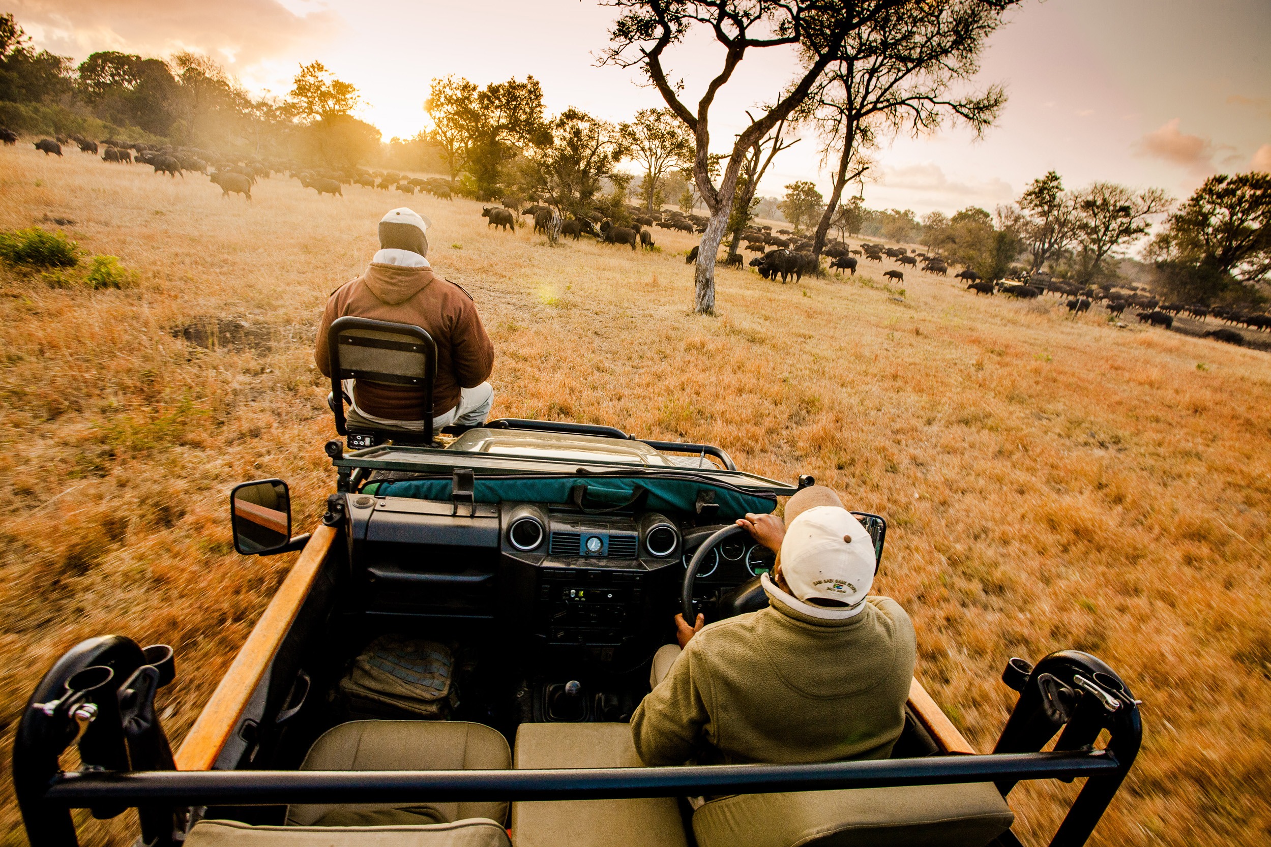 Sabi Sabi The Making Of A Ranger Tracker Ranger Team
