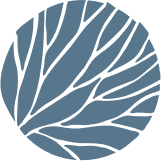 Bgt Sky Leaf Bgt Sky Leaf