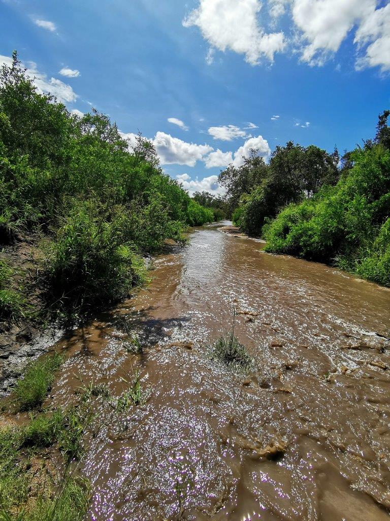 B03Daniel Greyvenstein   Floods   080223   2