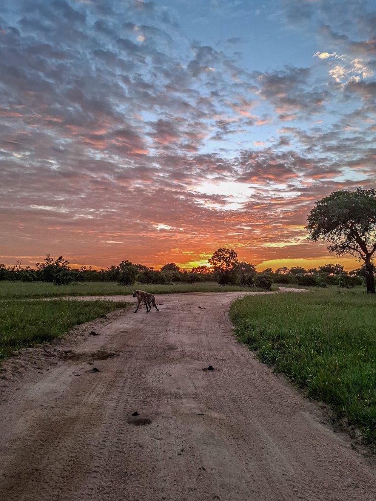 Sabi Sabi Ruan Mey Sunrise Sabi Sabi Ruan Mey Sunrise