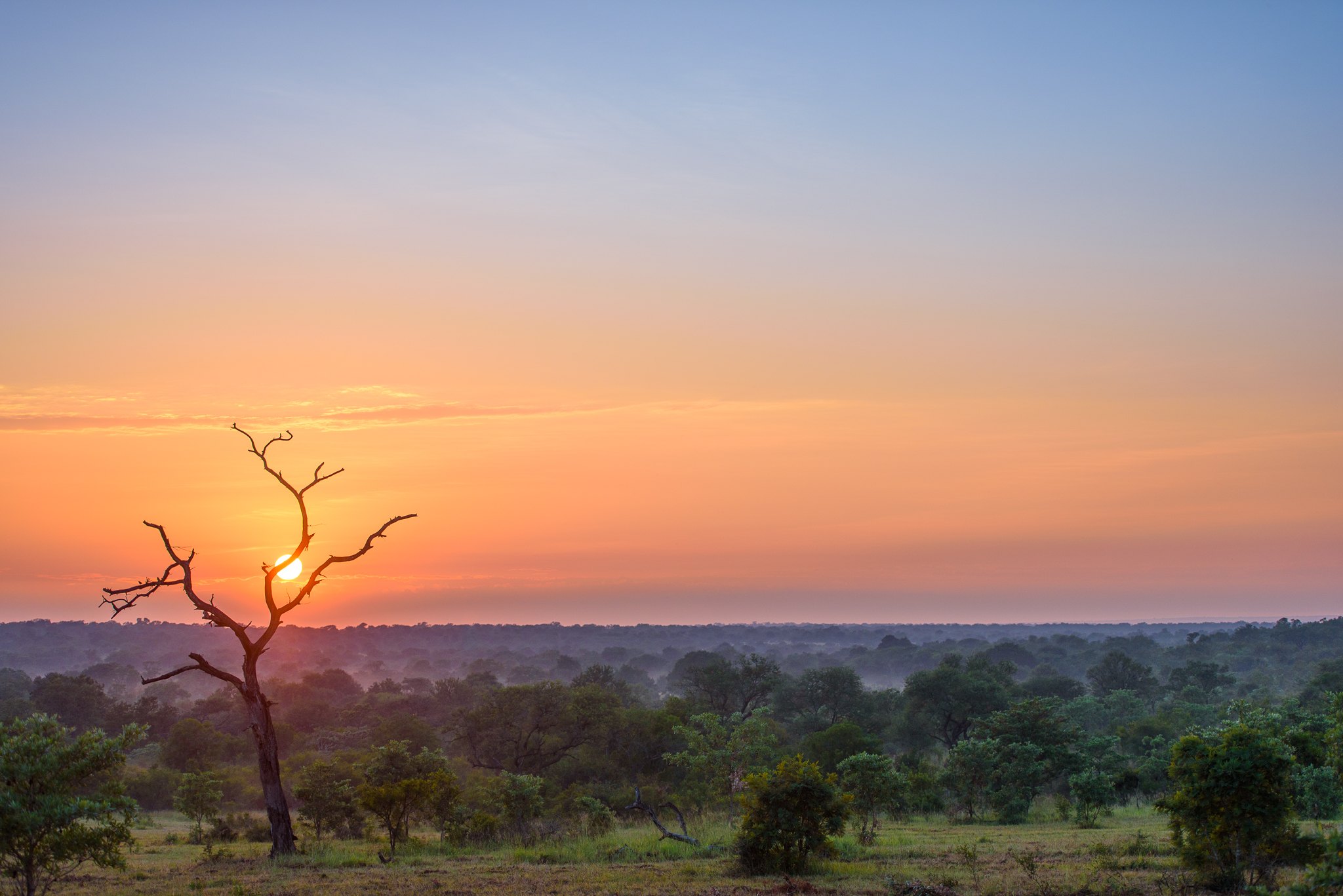 Sabi Sabi Winter In The Wild Sunset Sabi Sabi Winter In The Wild Sunset