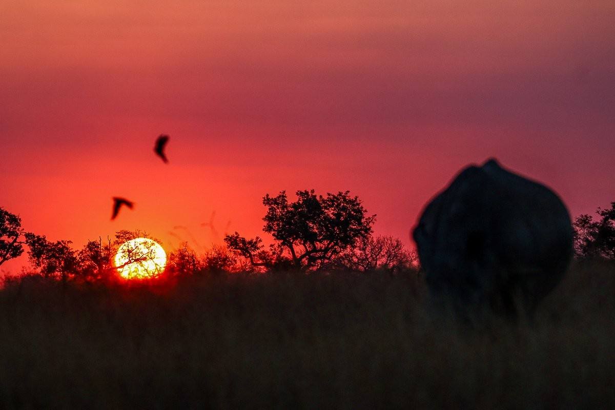 A crimson sunset from Sabi Sabi. 