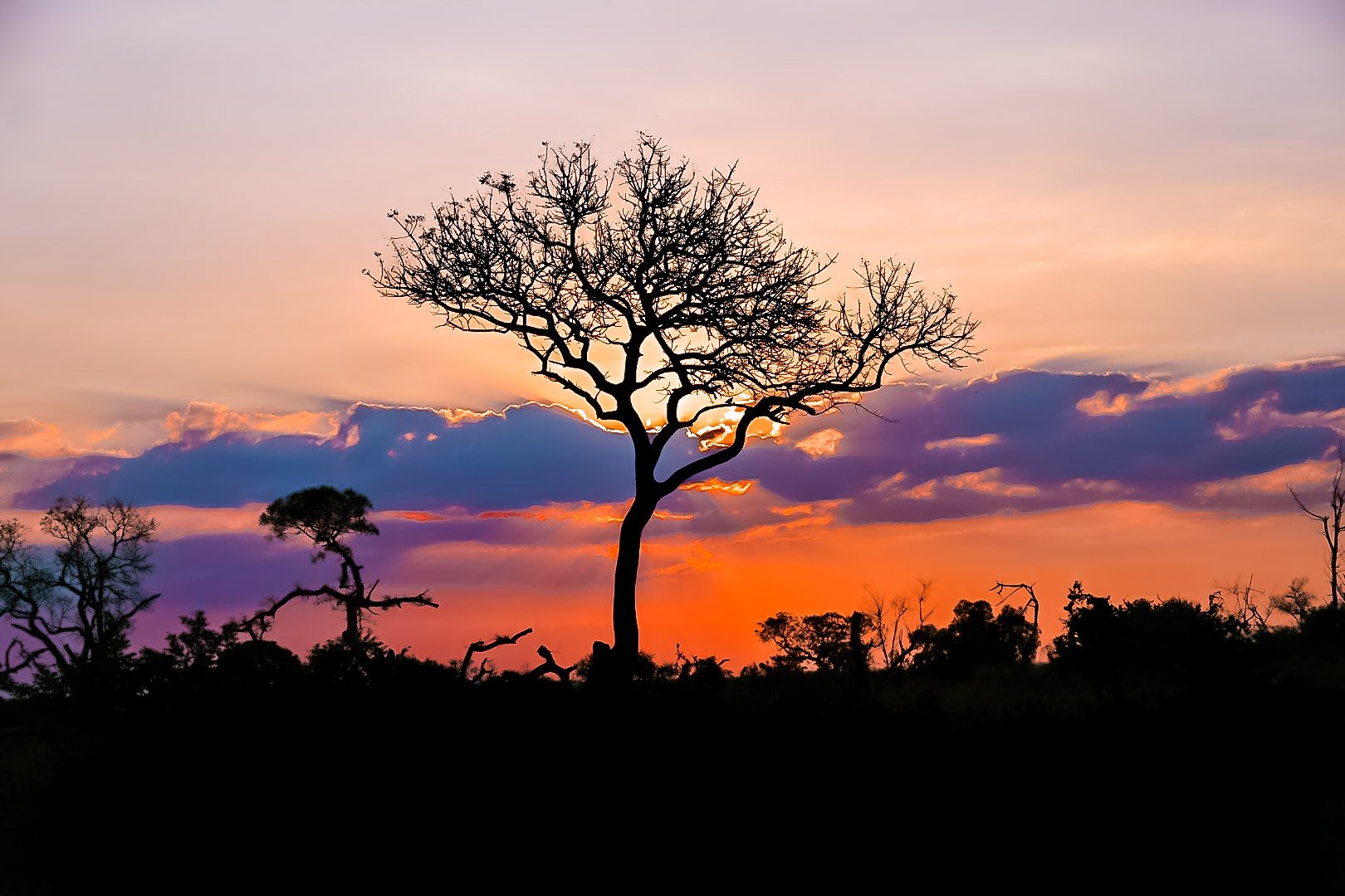 Sabi Sabi Stewardship In Action Sandringham Sunset