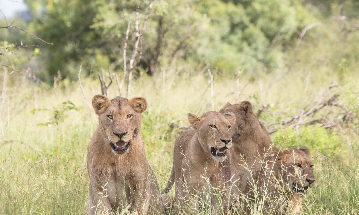 A30Jason Street   Styx   120323   2