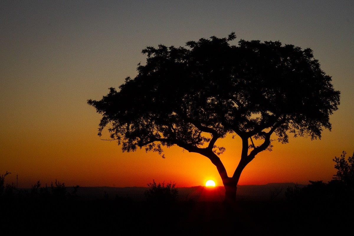 A38Daniel Greyvenstein   Sunset   060323