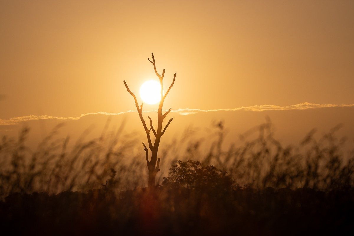 A sunset over the plains of the Sabi Sands. 