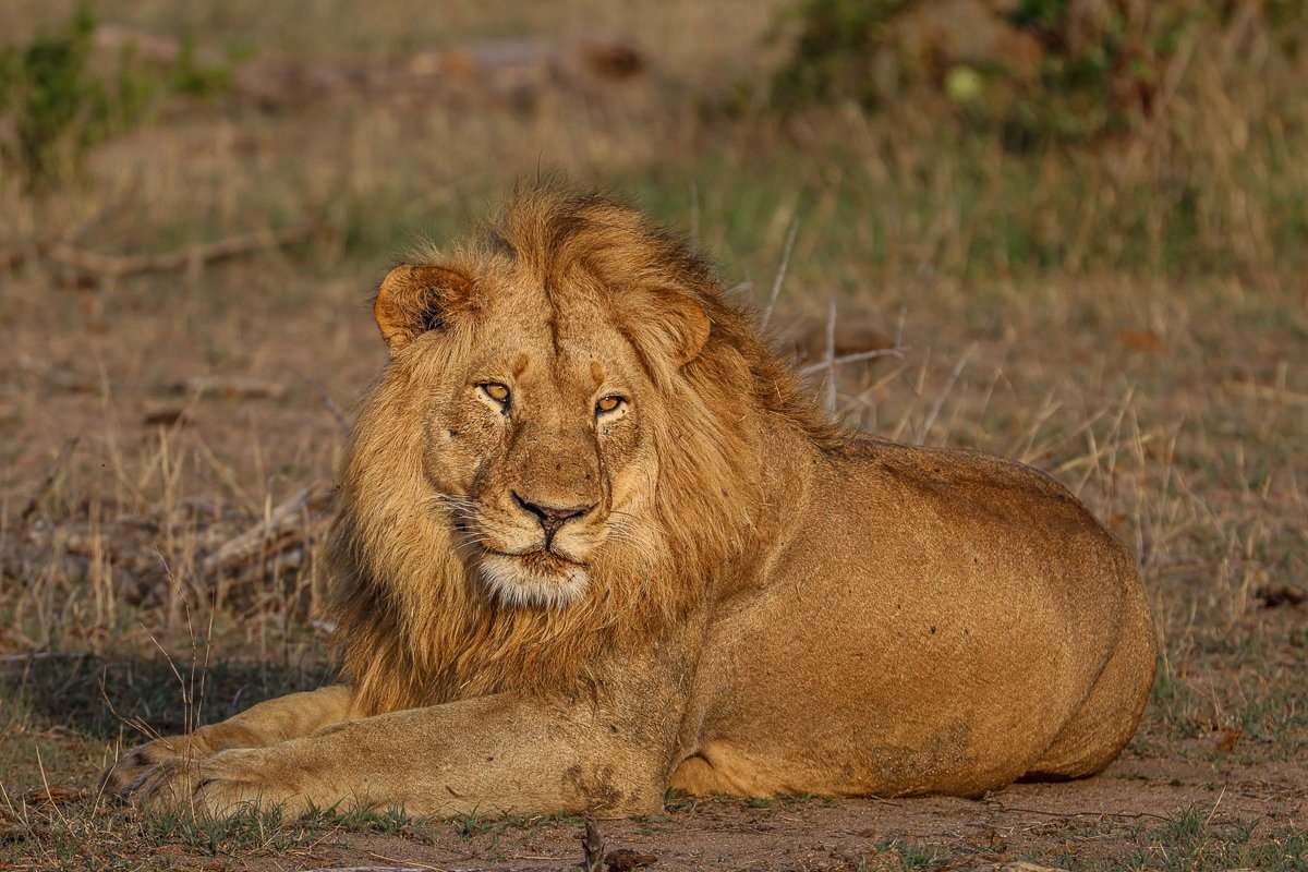 Sabi Sabi Ruan Mey Styx