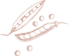 PeaPodsRed