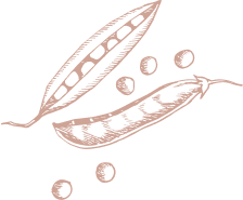 PeaPodsRed PeaPodsRed