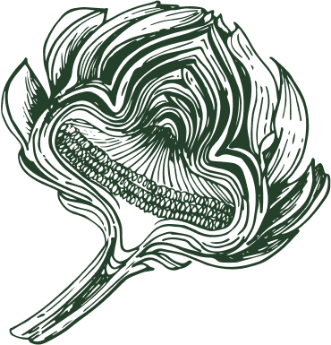 ProteaFlowerGreen