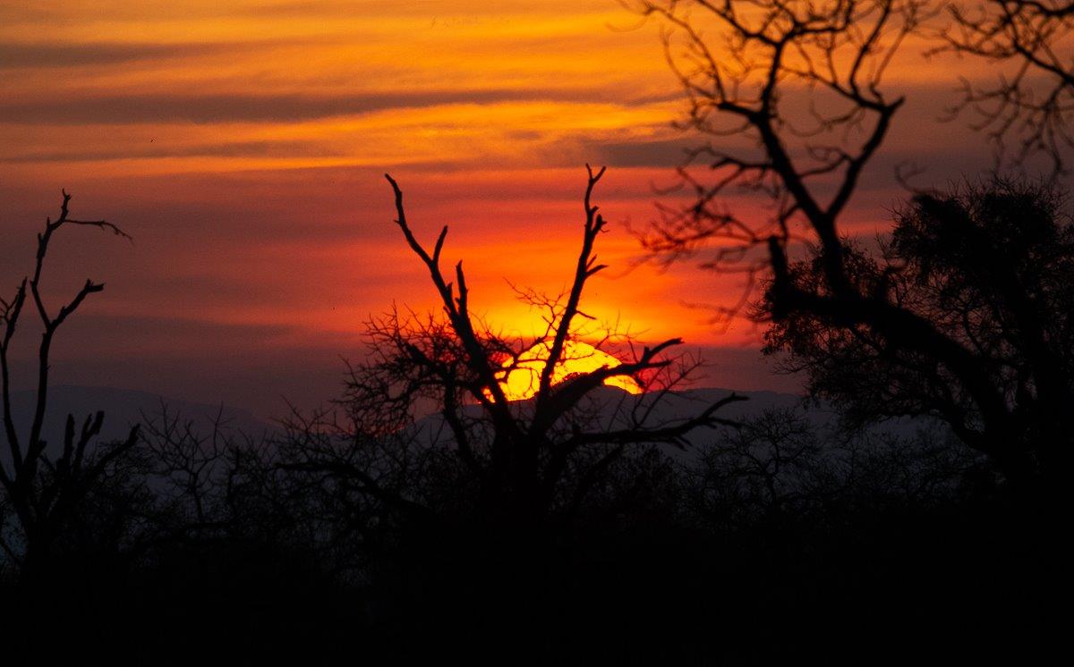Iconic sunset in the bush Iconic sunset in the bush