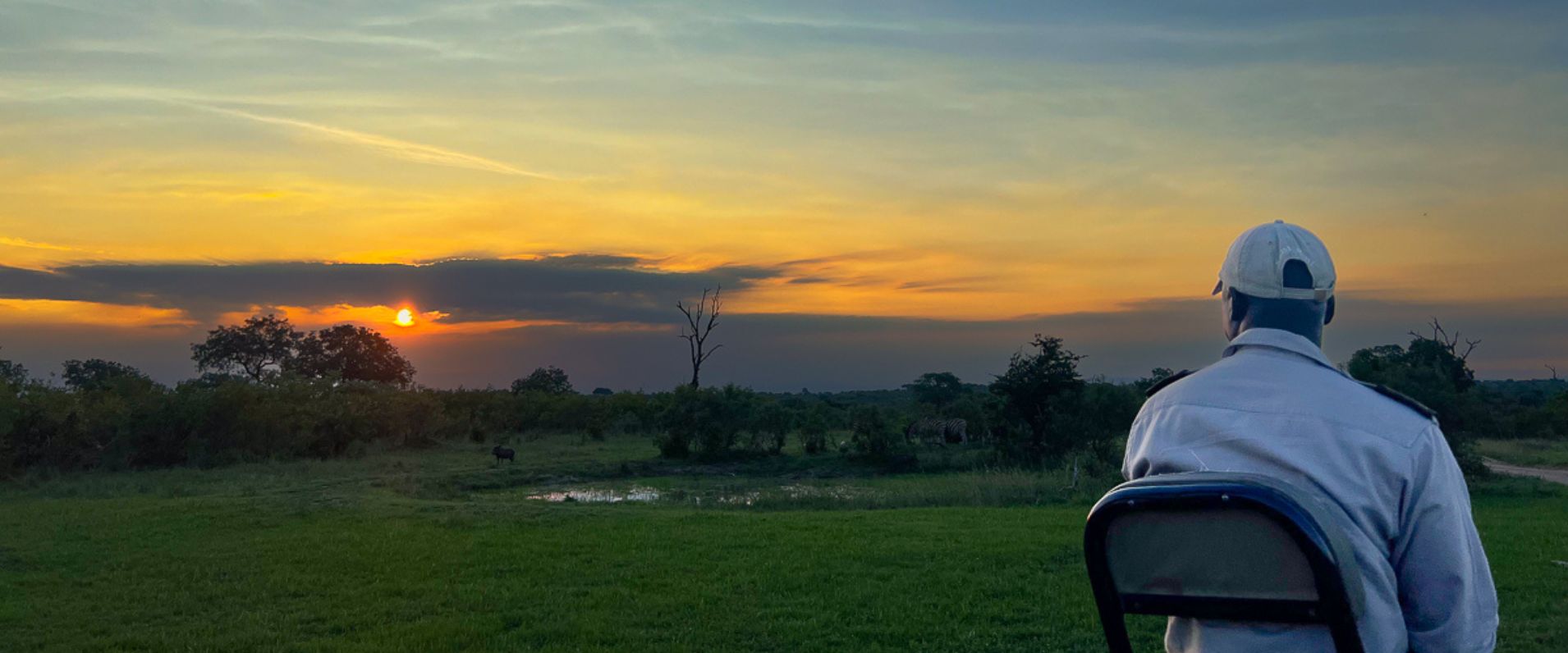 Sabi Sabi Newsletter Sunset Game Drive