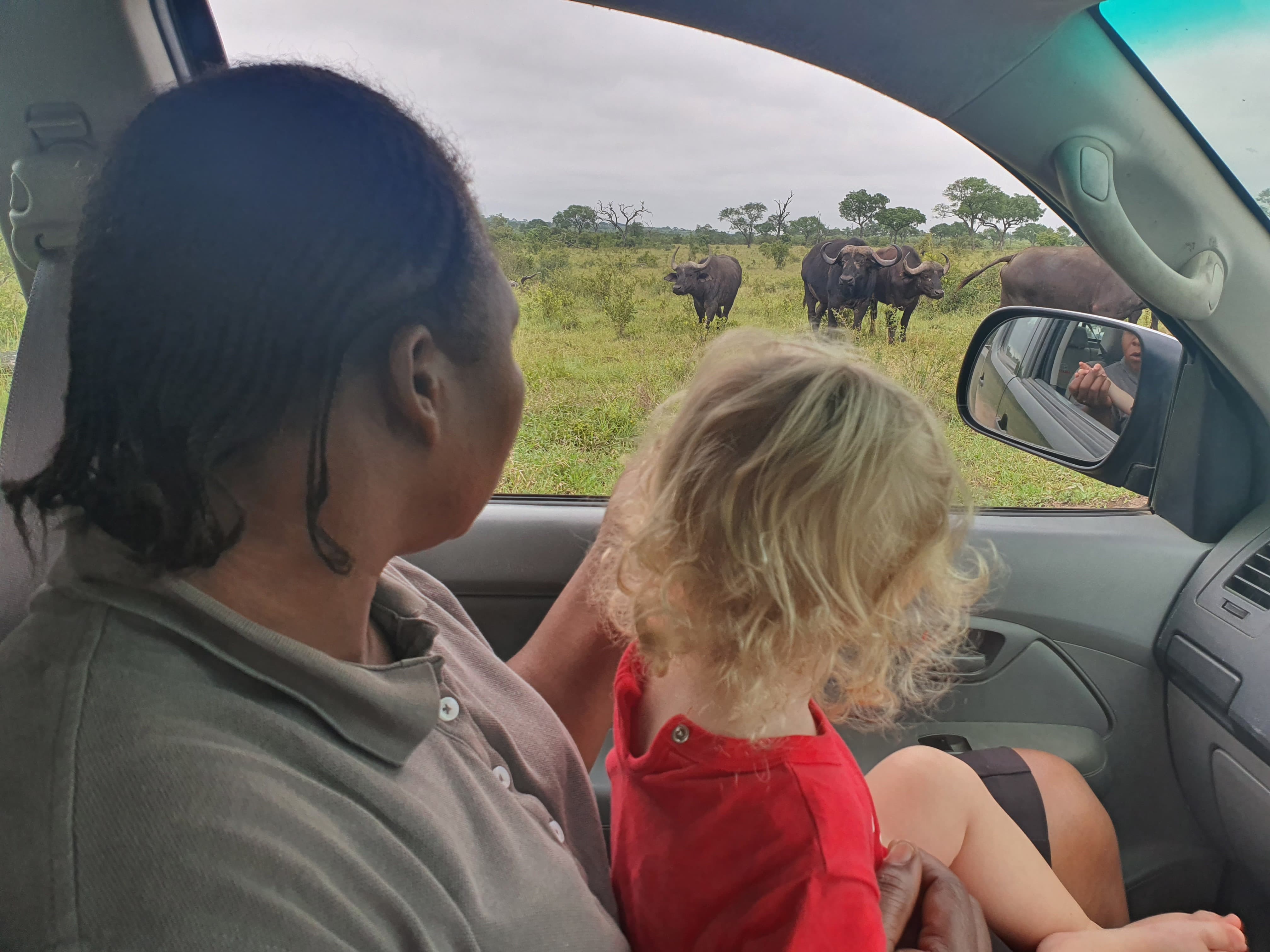 Sabi Sabi Conrad Cooke Family Wave Elephants Sabi Sabi Conrad Cooke Family Wave Elephants
