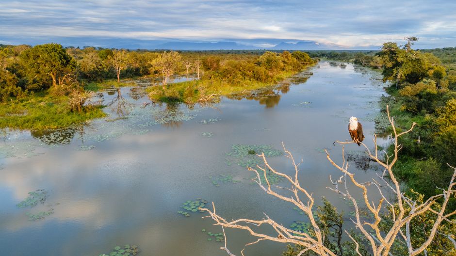 Sabi Sabi Sandringham