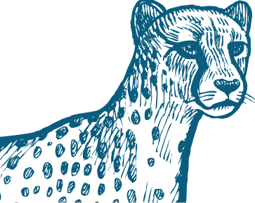 Bgt Blue Cheetah