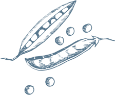 PeaPodsBlue