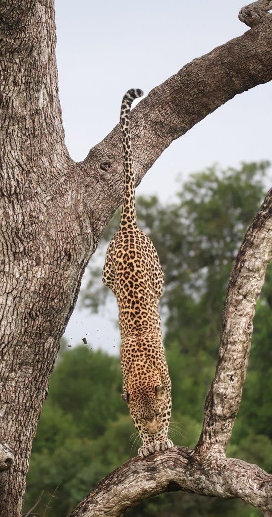 A11Coenraad Stapelberg Kigilia 070323 4