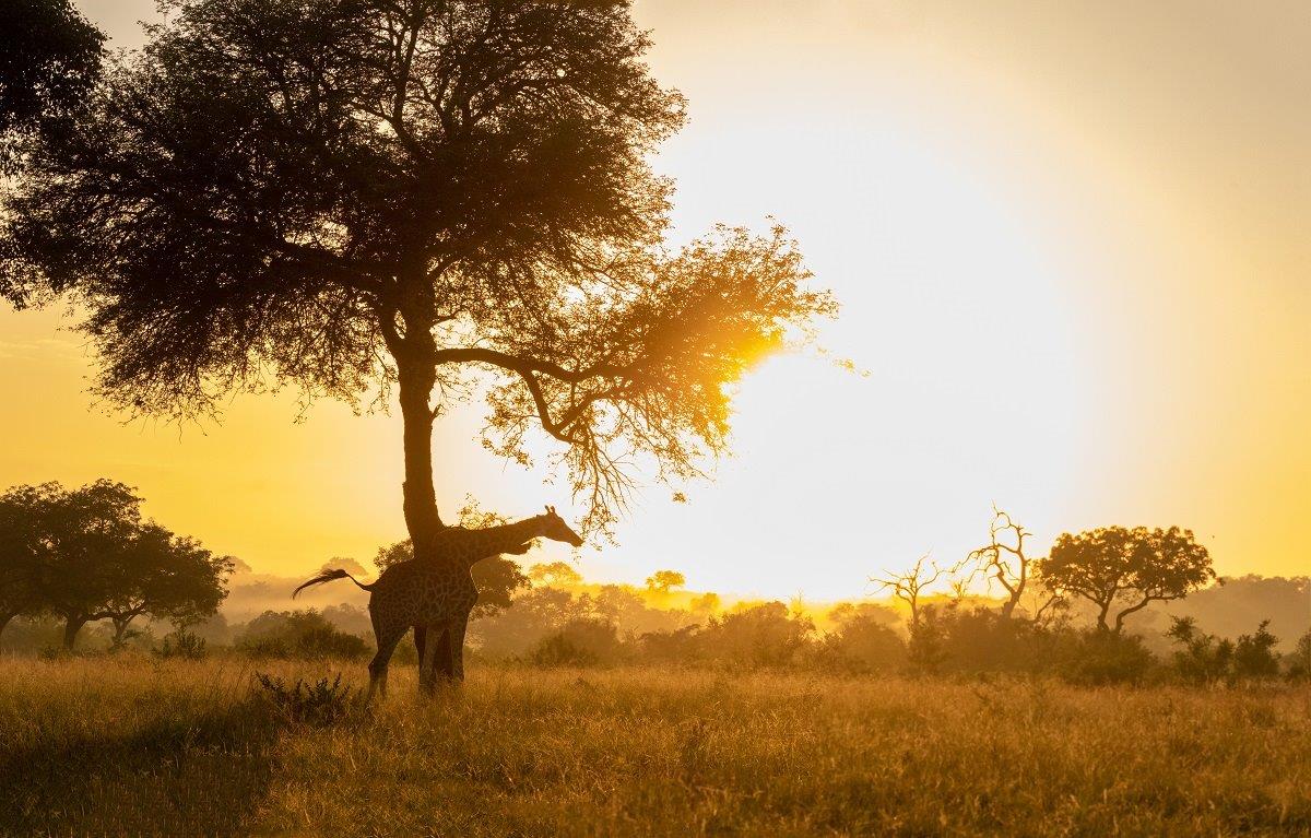 A01Jason Street   Sunrise   250323   3