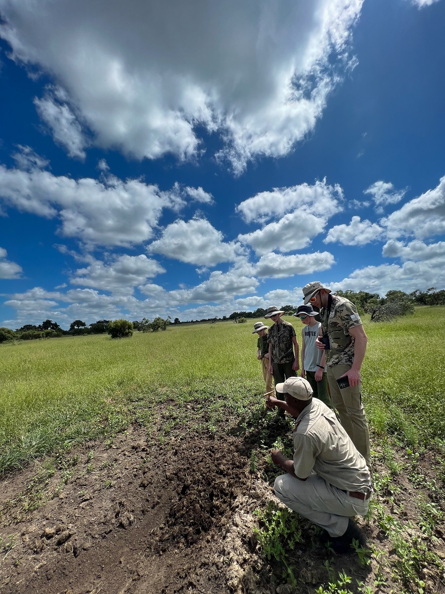 Finding a midden on safari can tell our expert trackers many things Finding a midden on safari can tell our expert trackers many things