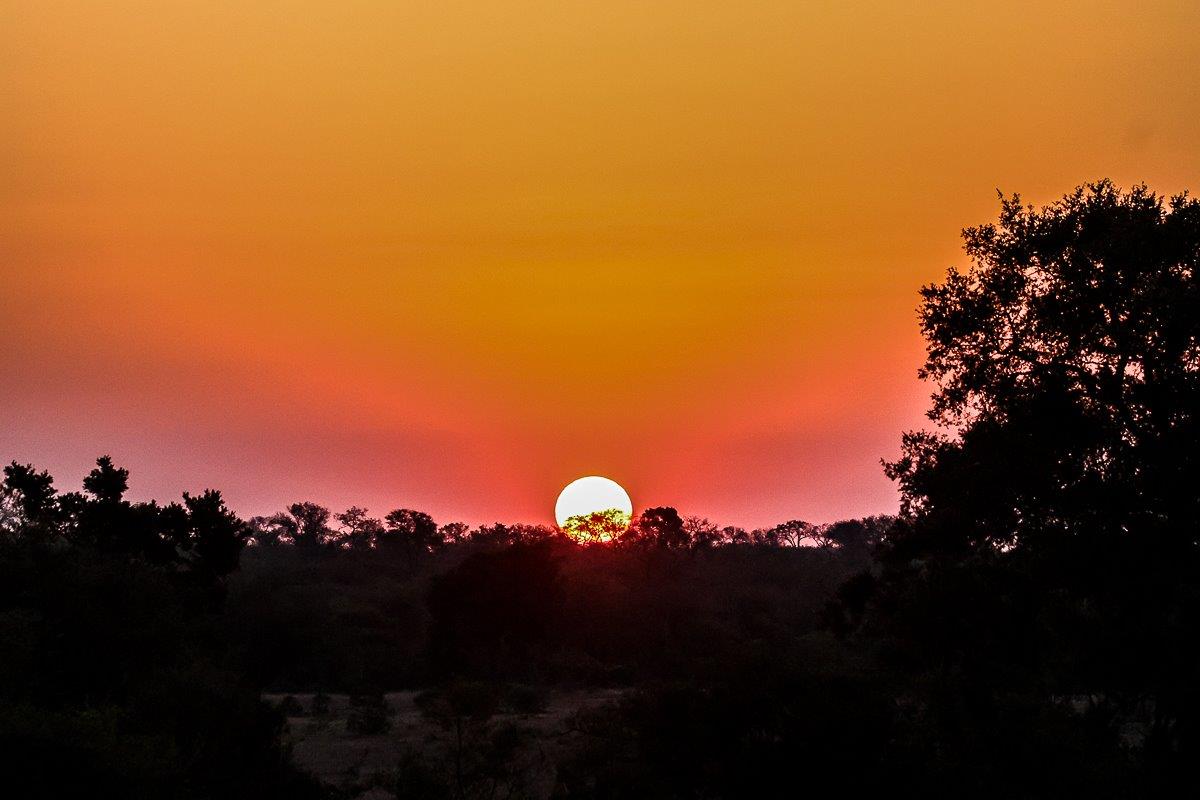 Rounding up a successful safari drive with a classic bush sunset