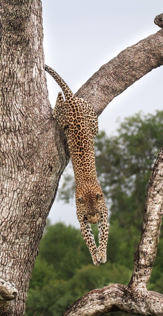 A10Coenraad Stapelberg Kigilia 070323 3