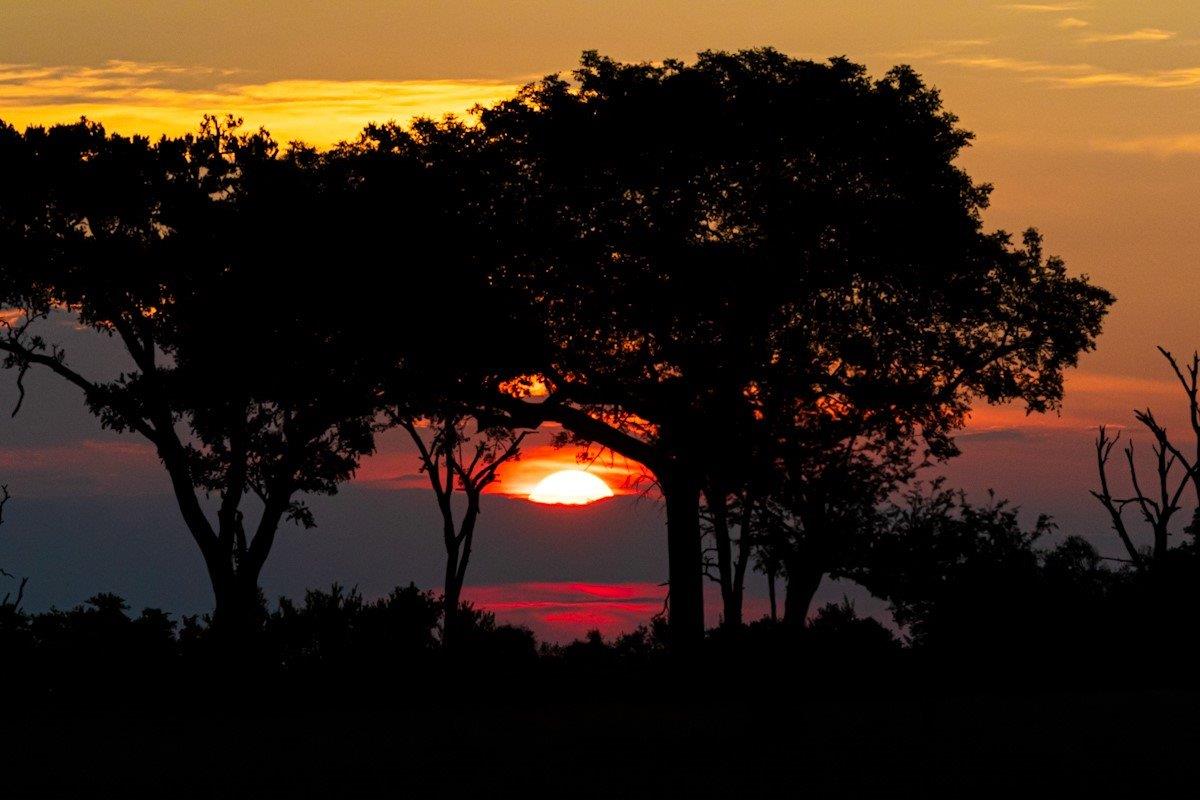 Devon Jansen Sunset Devon Jansen Sunset