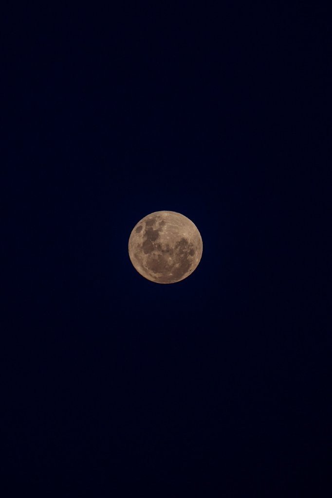 Sabi Sabi Ruan Mey Moon Sabi Sabi Ruan Mey Moon
