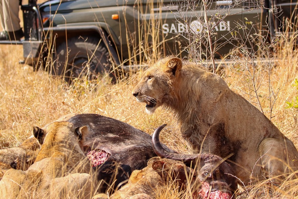 Each hunt, each decision, and each step solidifying their legacy