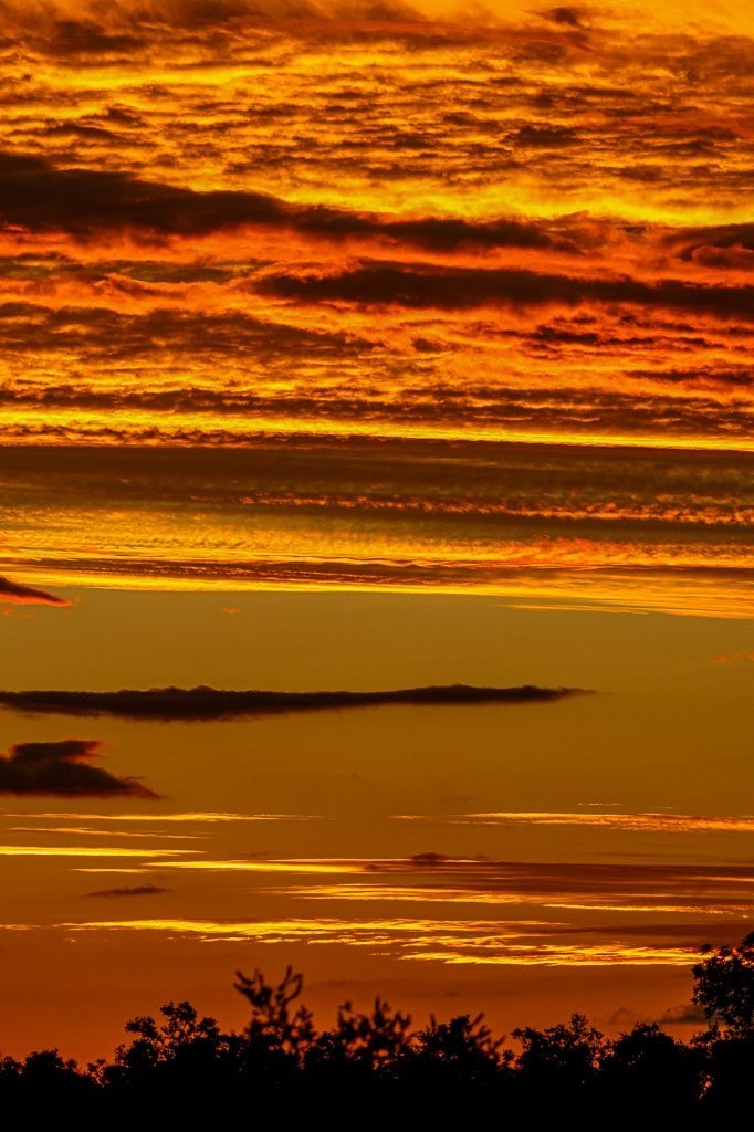 Sabi Sabi Ruan Mey Sunset