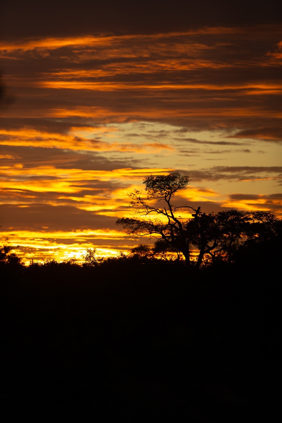 Sunset over the African bushveld marking the end of a safari day